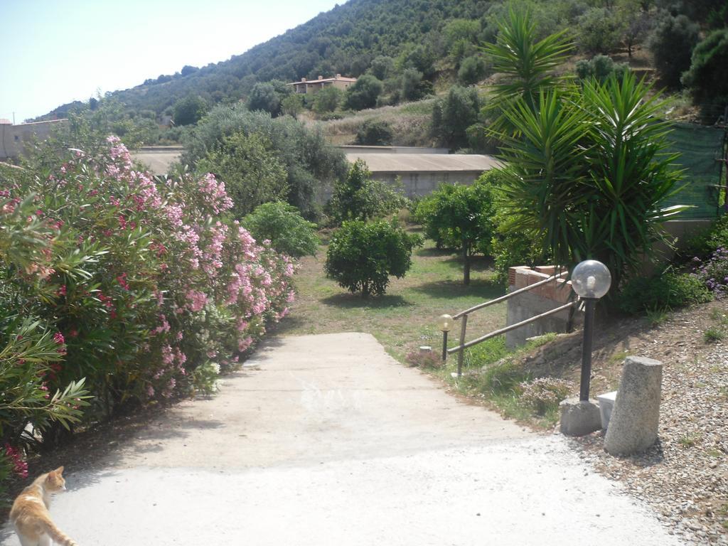 B&B Sa Funtana Cardedu Exterior photo